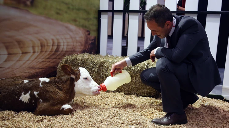 Hayvancılık sektörüne 'elektronik küpe' geliyor